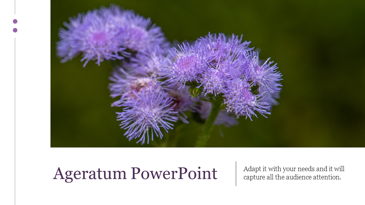 Creative Ageratum PowerPoint Presentation slide